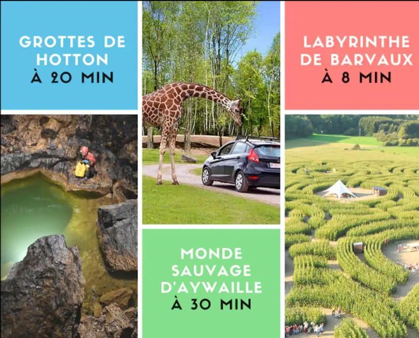 Appartement Durbuy Avec Piscine Et Activites Kültér fotó